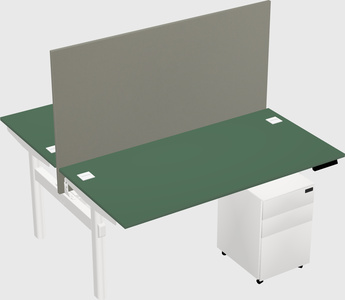 Shared electric desk
