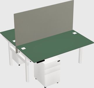 Shared electric desk
