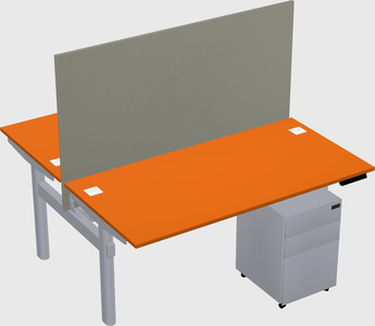 Shared electric desk