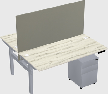 Shared electric desk