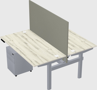 Shared electric desk
