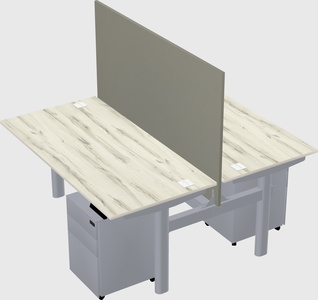 Shared electric desk