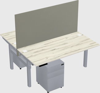 Shared electric desk