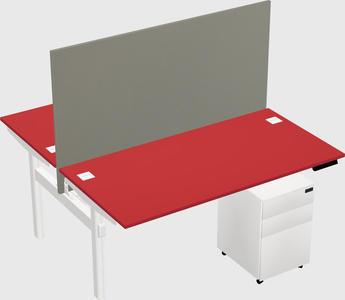 Shared electric desk