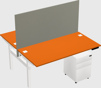 Shared electric desk