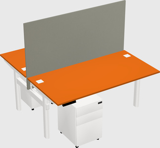 Shared electric desk