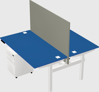 Shared electric desk