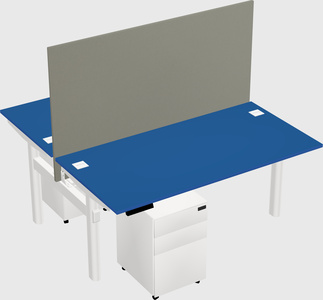 Shared electric desk
