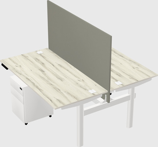 Shared electric desk