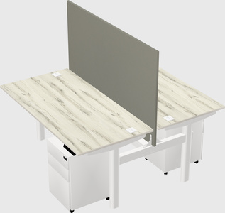 Shared electric desk