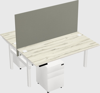 Shared electric desk