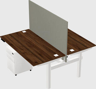 Shared electric desk