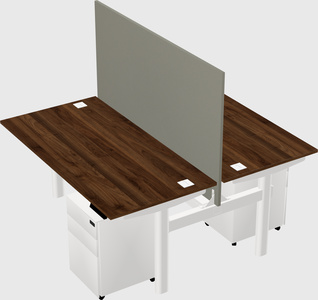 Shared electric desk