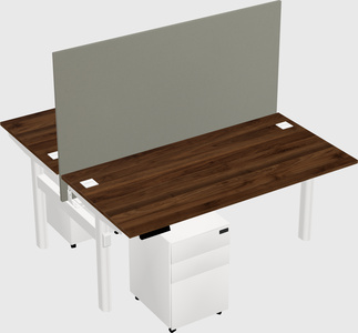 Shared electric desk