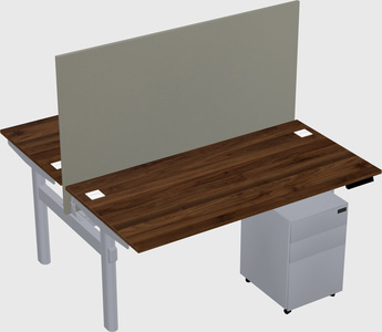 Shared electric desk
