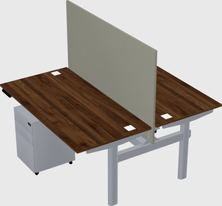 Shared electric desk
