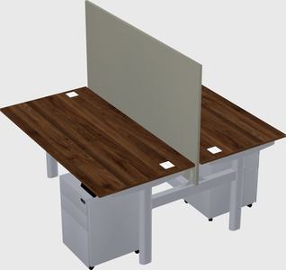 Shared electric desk