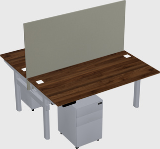 Shared electric desk