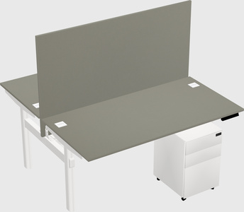 Shared electric desk