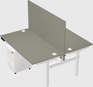 Shared electric desk