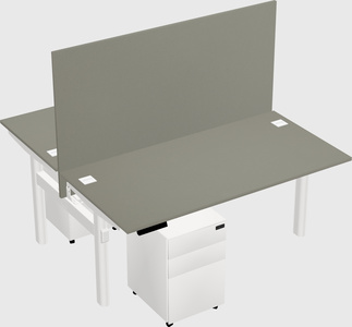 Shared electric desk