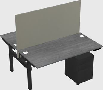 Shared electric desk
