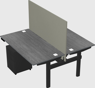 Shared electric desk