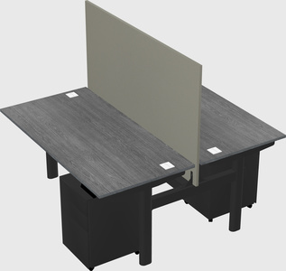 Shared electric desk