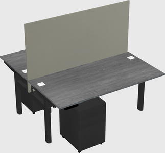 Shared electric desk