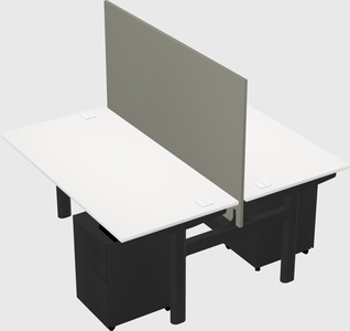 Shared electric desk