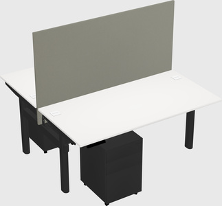 Shared electric desk