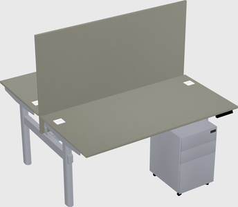 Shared electric desk