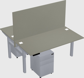 Shared electric desk