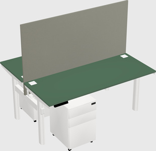 Shared electric desk
