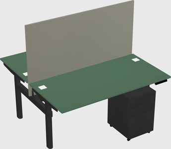 Shared electric desk