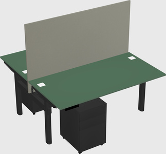Shared electric desk