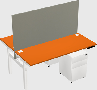 Shared electric desk