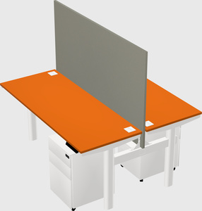 Shared electric desk