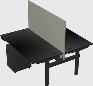 Shared electric desk