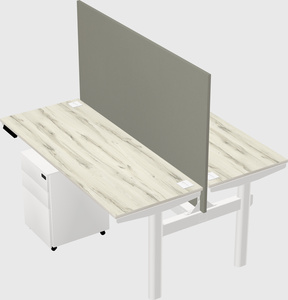 Shared electric desk