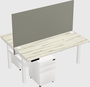 Shared electric desk