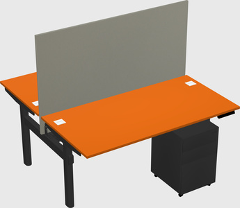 Shared electric desk