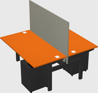 Shared electric desk