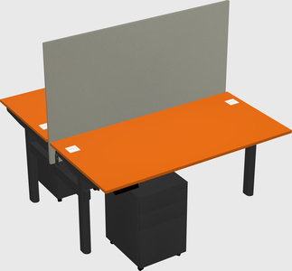 Shared electric desk
