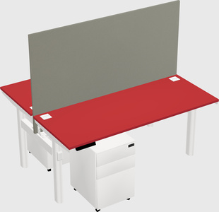 Shared electric desk