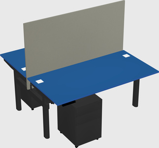 Shared electric desk