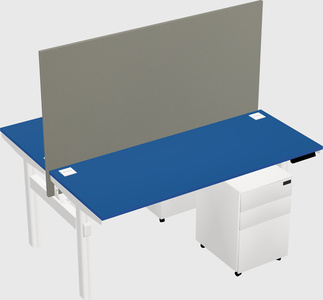 Shared electric desk