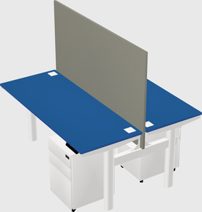 Shared electric desk