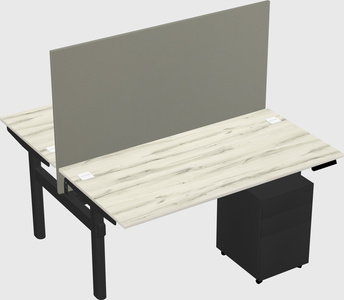 Shared electric desk