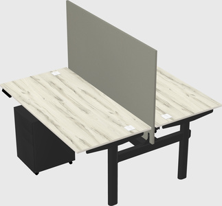 Shared electric desk